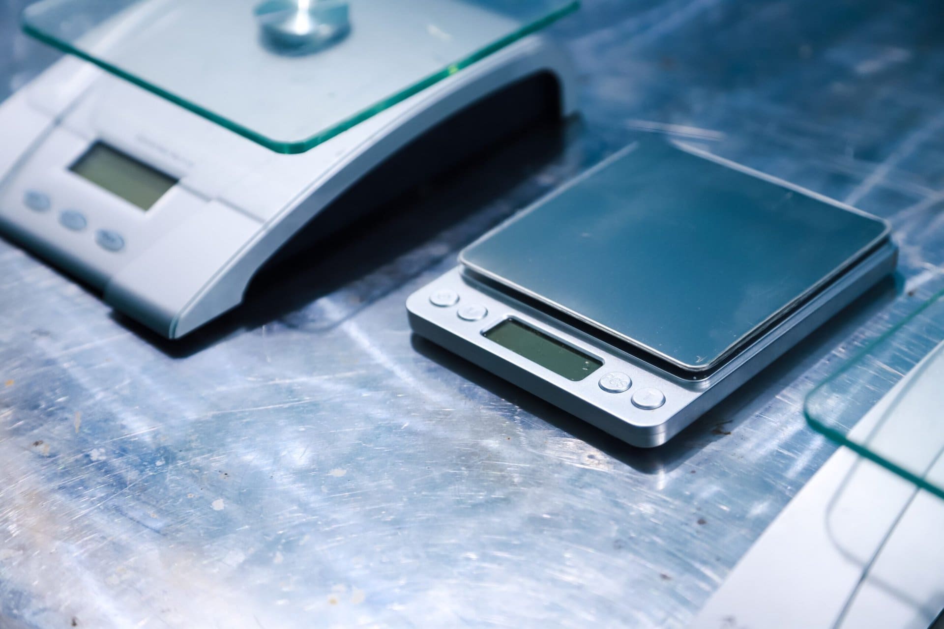 shutterstock_2323292377-scaled